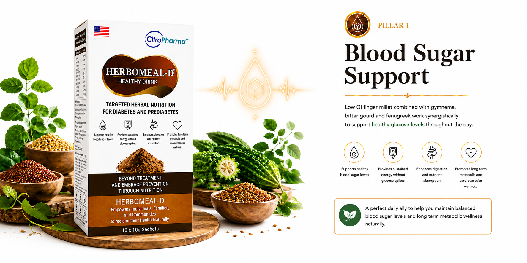 Blood sugar monitoring and glucose balance support theme